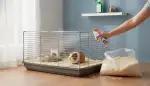 Schutz vor Milben im Kleintiergehege