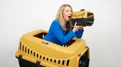 Die 8 besten Kleintier Transportboxen im Vergleich (Oktober 2026)