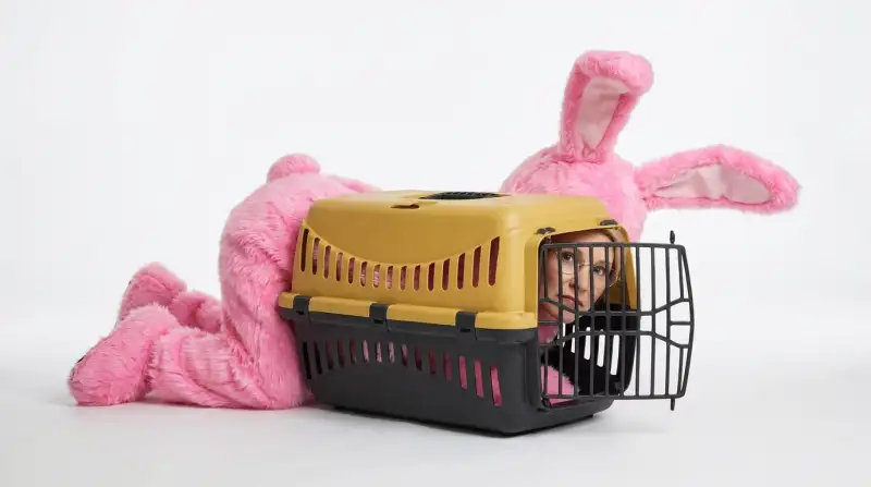 Die 8 besten Transportboxen Kleintiere im Vergleich (Oktober 2026)