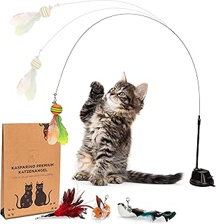 KASPARINO Katzenangel stabil – Katzenspielzeug Angel mit Federn, Vogel & Saugnapf – Selbstbeschä…