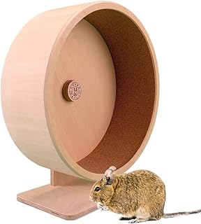 Getzoo Ø 33 cm Korklaufrad (Ø 31,4 cm Innen) mit austauschbarer Korkeinlage I Artgerechtes Desi…