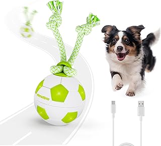 ALL FOR PAWS Interaktiver HundeBall, Beweglicher Hundeball mit LED-Lichtern, Hundespielzeug gegen…