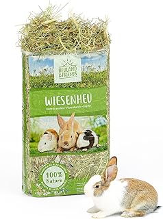Wiesenheu 1kg – für Kaninchen, Meerschweinchen & Hasen – naturbelassenes Premium-Heu aus art…