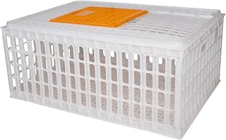 Beeketal ‚GBB-1‘ Geflügel Transportbox mit Schiebetür und Transportgriffen – Transportkiste aus…