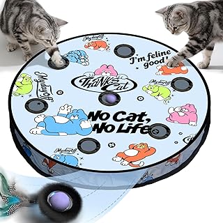 Katzenspielzeug für drinnen, interaktives Ballspielzeug mit 7 Löchern, Labyrinthmattenbeutel, a…