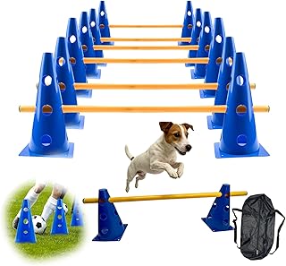 Agility Set für Kinder und Hunde, 12 Kegel + 12 Stangen mit Tragetasche, Koordinations- und Sinn…