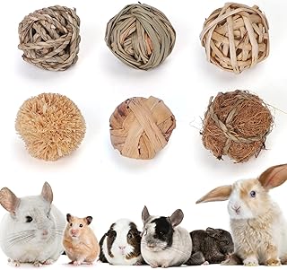 Nobleza 6-teilige Kleintiere, die Bälle Spielen, Grasbälle kauen und Kauspielzeug Rollen, um di…