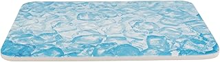 Trixie 63010 Kühlplatte, Meerschweinchen, Keramik, 28 × 20 cm, blau