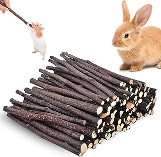 250g Hamster Kauspielzeug, Kaninchen Kauspielzeug Apfel Holz Nager Bunny Kaustock Apfelstäbchen …