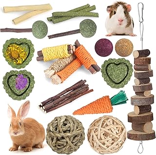 Kaninchen-Spielzeug, Meerschweinchen-Spielzeug, Hamster-Spielzeug, Hasen-Spielzeug, 18 Stück, na…