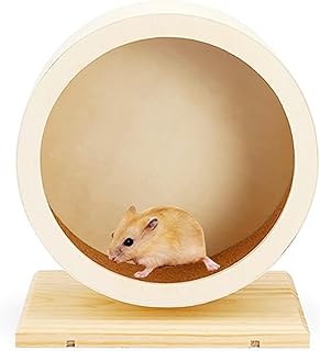 Hamsterrad Holz 29cm (Ø 28cm Innen) – Geräuschloses Laufrad mit Kugellager für Goldhamster, Zw…