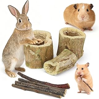 Kaninchen Kauspielzeug für Zähne,Kaninchen Papaya Holz Snack Zahnpflege Molar Apfelholzstäbche…