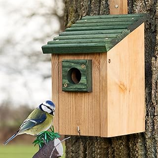 Zooprinz Nistkasten für Wildvögel – Massiv- Holz Vogelhäuschen mit sicherem Schutz gegen Nes…