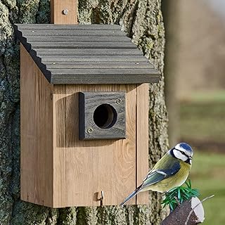 Zooprinz Nistkasten für Wildvögel – Massiv- Holz Vogelhäuschen mit sicherem Schutz gegen Nes…