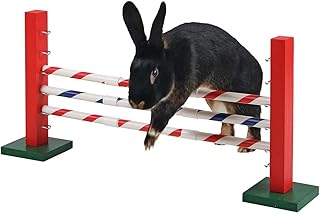 Kerbl Pet Agility Steilsprung für Nager 70 x 5 x 35 cm