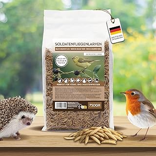 Koi-Herdecke Soldatenfliegenlarven 0,75kg, 5 Liter getrocknet, Black Soldier Fly – wie Mehlwürme…