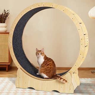 Laufband Für Katzen Mit Holzmaserung, Leise Und Ohne Zwischenräume, Sicherheitslaufrad Für Kat…