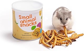 Niteangel Hamster-Snacks und Leckerlis Spielzeug – Natürlicher Leckerbissen für Zwerghamster, S…